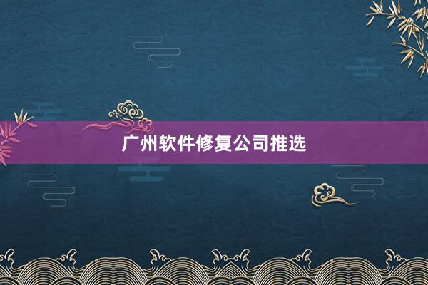 广州软件修复公司推选